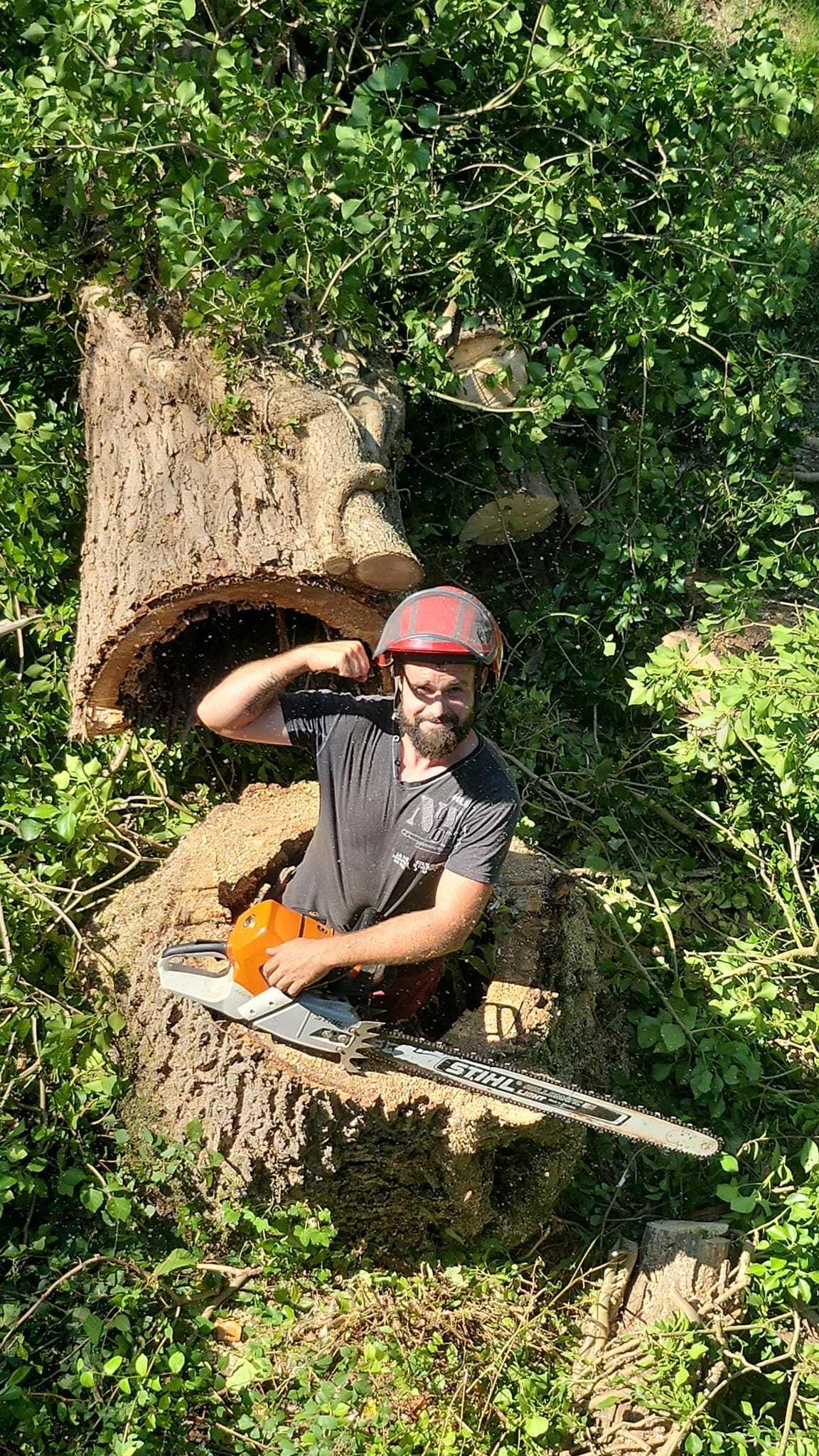 Que fait un élagueur avec les déchets verts