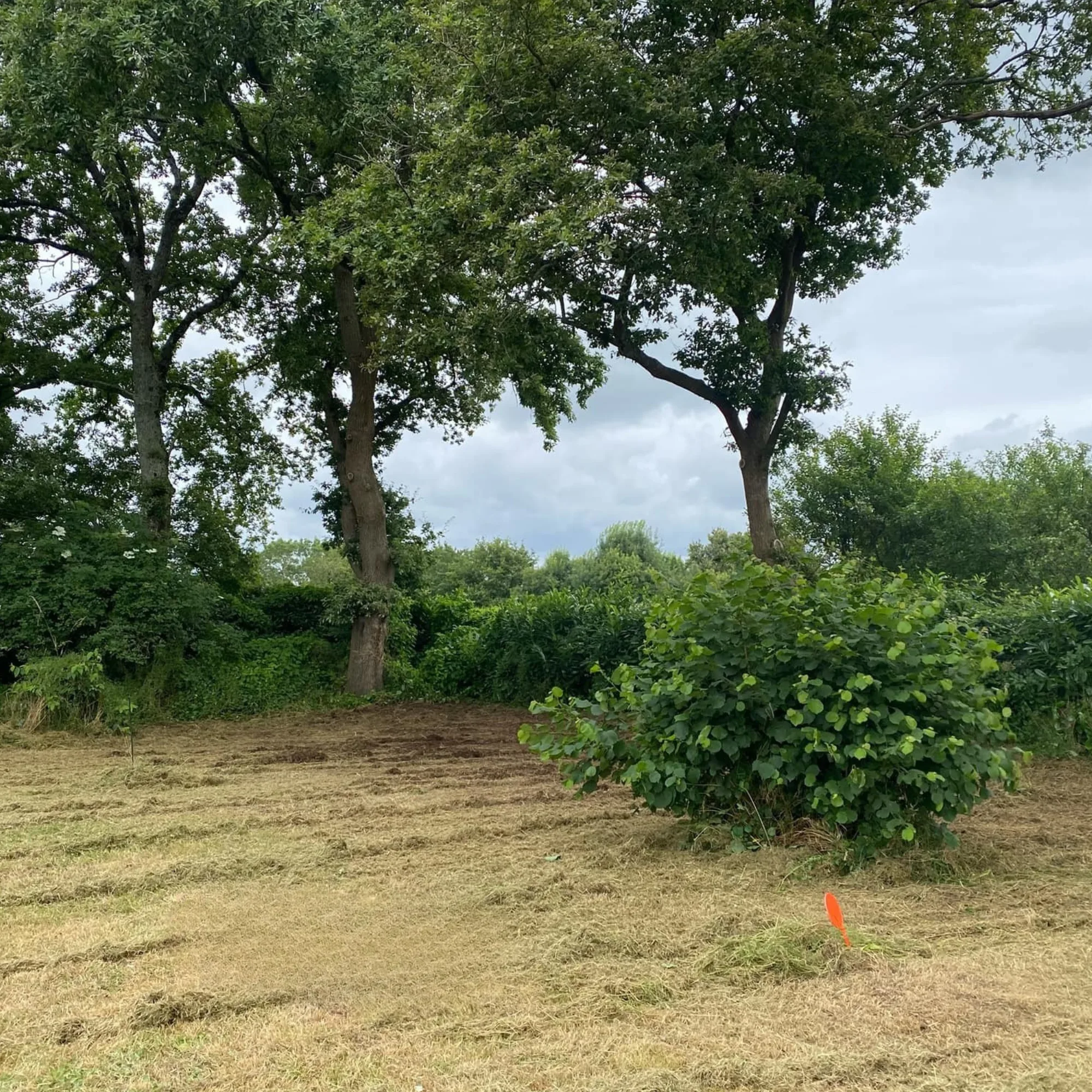 Débroussaillage terrain